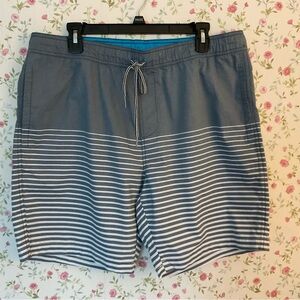 Men's Blue Striped Swim Board Shorts